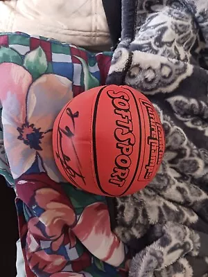 Michael Jordan Autograph Mini Basketketball • $750