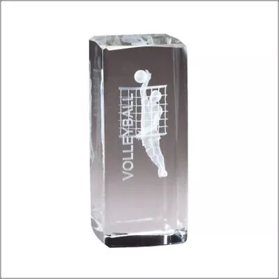 Volleyball Male Crystal Trophy Personalized Free • $15.74