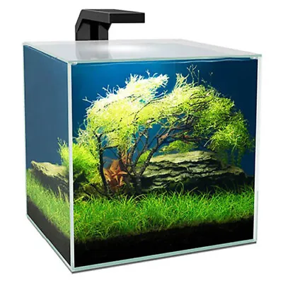 Ciano Cube Aquarium 15 With LED Light Internal Filter Lid 14.5L Fish Tank • £57.95