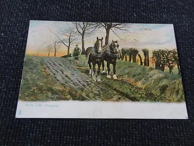Social History Postcard Farming Horses Ploughing - 82581 • £1.50
