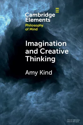 Imagination And Creative Thinking Kind Paperback Cambridge University Press • £17.69