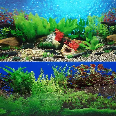 New 20  X 48  Fish Tank Background 2 Sided River Bed & Lake Background Aquarium • $24.99