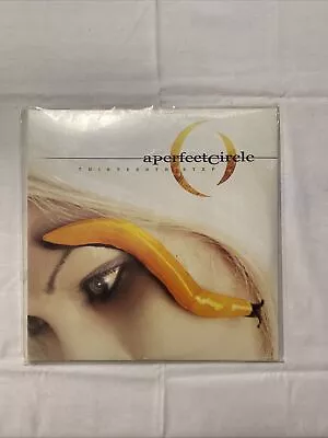 Thirteenth Step By Perfect Circle (Record 2003) • $200