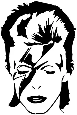 David Bowie Ziggy Stardust Vinyl Sticker Car Wall Window Cool Decal • £3.69