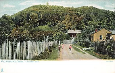 LP36 Vicksburg Mississippi Chickasaw Bluff Civil War Battlefield Tuck Postcard • $9.99