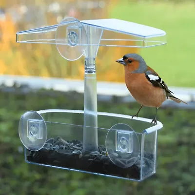 Large Glass Window Bird Feeder Station Seed Mealworm Suction Perspex Clear View • £6.95