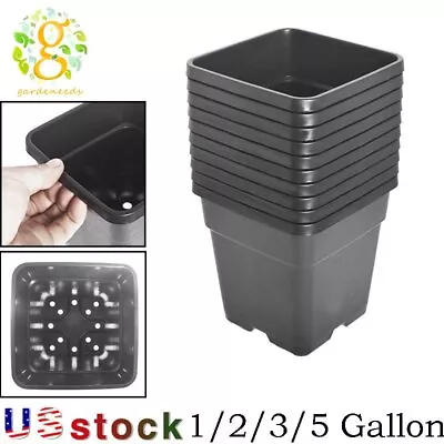 10 PCS 1/2/3/5 Gallon Plastic Grow Pots Plant Bonsai Square Garden Containers • $36.29