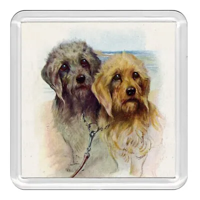 £2.99 • Buy Dandie Dinmont Terrier Dogs Dog Acrylic Coaster Novelty Drink Cup Mat Great Gift