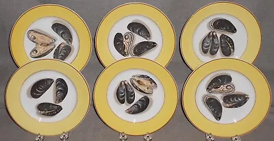 Set (6) Mottahedeh FRUITS OF THE SEA PATTERN Salad Plates MADE IN PORTUGAL • $159.99