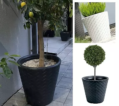 Big Plant Tree Pots Extra Large HUGE Indoor Outdoor Planter Garden Massive 120 L • £99.95