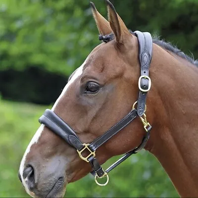 £31.99 • Buy Shires Leather Horse Headcollar Halter Velociti Series Comfortable And Cushioned