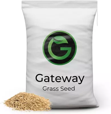 Horse Paddock Grass Seeds - Fast Growing Grass Seed For Repairs On Pastures 5kg • £42.86