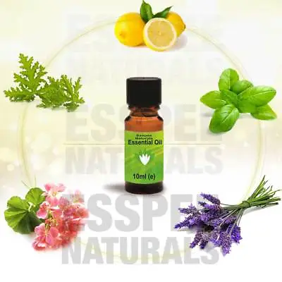 Essential Oils For Aromatherapy 10 Ml - 100% Pure - Choose From Selection  • £2.30