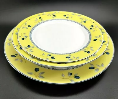 £31.13 • Buy Royal Doulton Blueberry Dinnerware 3 Three Piece Set Plate Bowl 2005