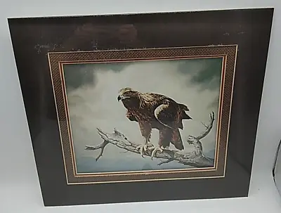 Charles Frace Wildlife Print GOLDEN EAGLE 15.25  X 13.25  Matted 8x10  Art Vtg • $19.99