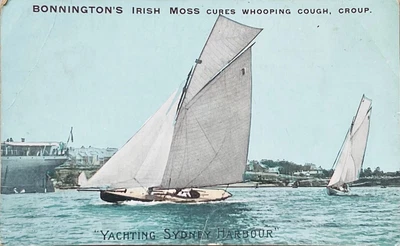 $4 • Buy Vintage Australian Postcard, YACHTING SYDNEY HARBOUR, ADVERTISING BONNINGTON'S