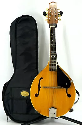 Johnson 8 String Mandolin MA-120N W/ Superior Soft Case • $15