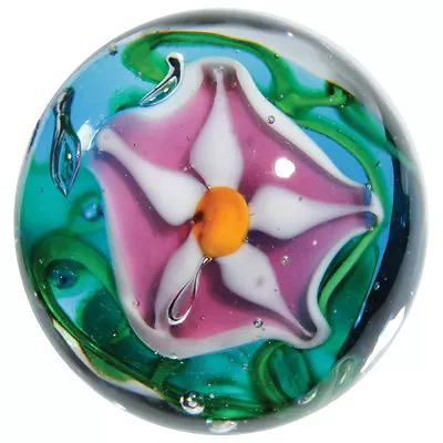 22mm STARGAZER Lily Flower Handmade Art Glass Pink Blue Marble Ball 7/8  SHOOTER • $8.95