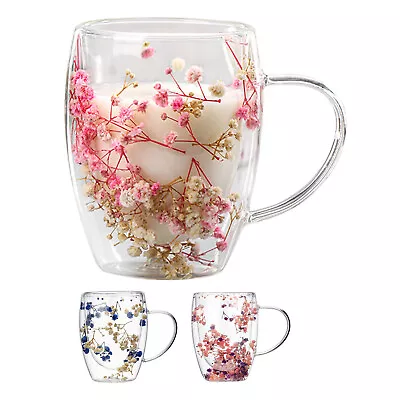 Dry Flowers Double Wall Glass Cup Glass Tea Cup Double Wall Insulated Coffee Mug • $17.28