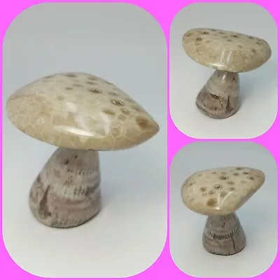Petoskey Stone  Mushroom / Free Standing 2.5  Fairy Garden Art Ancient Michigan • $44.10