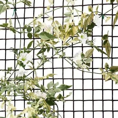 Heavy Duty Garden Mesh Netting Fencing  Chicken Wire Fence Rabbit Plant Supports • £19.99