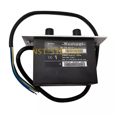 Ignition Transformer WZG02/V Weishaupt High-voltage Package • £184.44