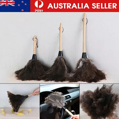 1X Anti-Static Ostrich Feather Duster Soft Brush Cleaning Tool Wooden Handle AU • $6.99