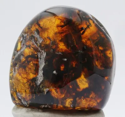 ++ CLEARANCE! FULL POLISHED MEXICAN AMBER 74g • $88.80