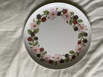 Melamine Tableware Sandwich Plate/Tray Bramble Pattern • £3