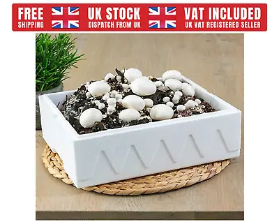 Grow Your Own Mushroom Kit DIY Home Grown Funghi Fungus Fresh • £21.99