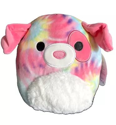 Squishmallows  Shena The Tie Dye Dog  8  • $22.99