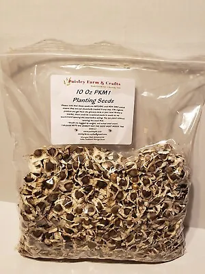 $7.35 • Buy Moringa Oleifera PKM1 Seeds - Paisley Farm & Crafts