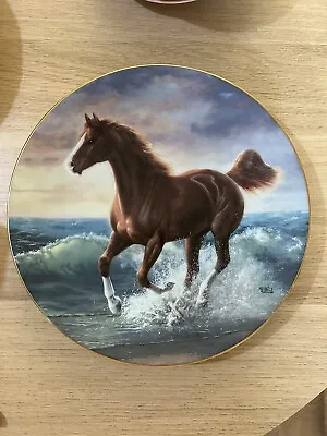 Unbridled Spirit “Surf Dancer” Horse Plate • £6