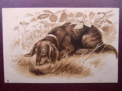 Dachshund Teckel Dackel Dog *Vintage* Tuck Embossed Art Series 1283 C1904 #1 • £3.49