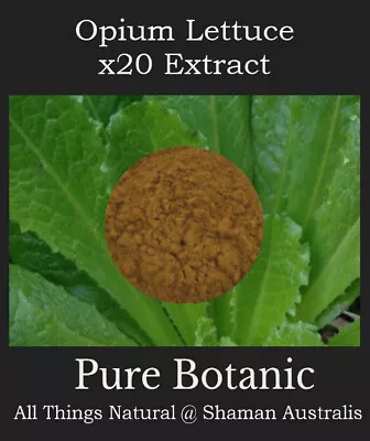 WILD LETTUCE 20:1 Extract Powder 20g **20x Stronger Than Herb** Lactuca Virosa • $64.90