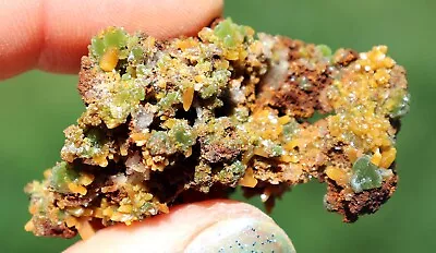 Wulfenite Crystals And Mimetite On Matrix Mexico  • $32.99