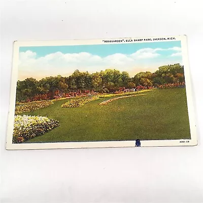 Jackson Michigan Ella Sharp Park -Rose Garden- By W.J. Beardsley Postcard C1929 • $2.49