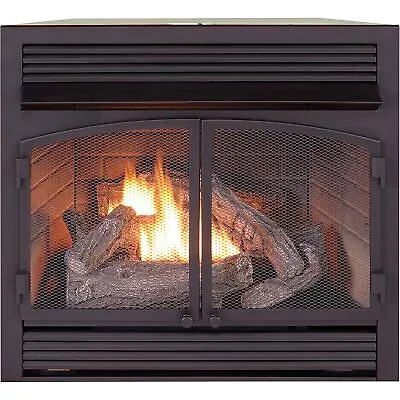 Bluegrass Living Vent-Free Dual Fuel Fireplace Insert — 32000 BTU Black • $899.99