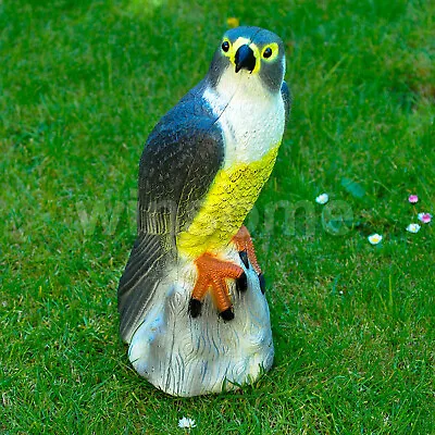 Large Falcon Pest Control Deterrent Garden Lawn Bird Scarer Cat Scarer Repeller • £10.93