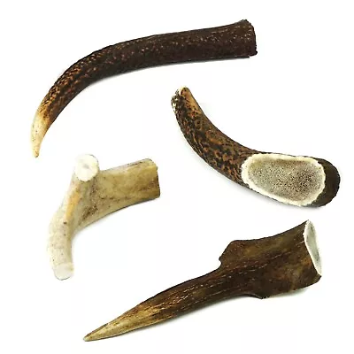 £8.09 • Buy Deer Antler Natural Dog Chew - Medium Large XL XXL - Long Lasting - Brand New