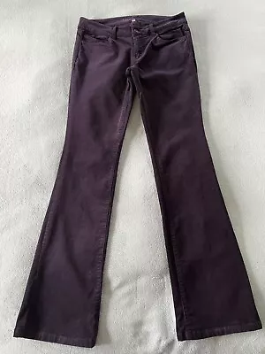 Mistral Cord Jeans Grape Colour Size 10 Straight/Slight Bootleg Cut Stretch VGC • £7