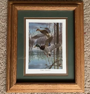 Timber Mallards 1991 Duck Picture By Randy McGovern • $29.99