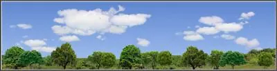 TRACKSIDE BACKDROP #670 Trees And Sky O Scale • $46.99
