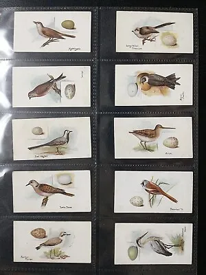 Lambert And Butler  Birds & There Eggs Original Set 50 Cigarette Cards 1906 . • £75