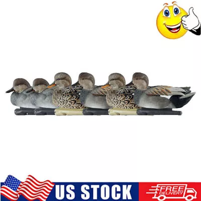 6-PCS Realistic Flight Gadwall Duck Decoy Outdoors Duck Hunting Decoy AVX8085 • $99.37