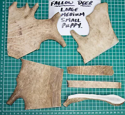 £3.99 • Buy Dog Chews Fallow Deer Antler Healthy - Puppy-Small-Medium-Large - 100% Natural