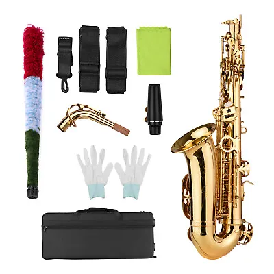 Muslady Eb Alto Saxophone Brass Lacquered Alto Sax Wind Instrument New Style • $319.89