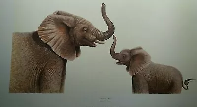 £27.99 • Buy Trunk Call By Warwick Higgs Elephants