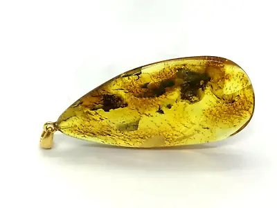 Amber Pendant 2 Insects Fossil Insect Inclusion Silver 925 Gold Plated 6g 6842 • £9.34