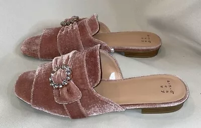 A New Day Women's Size 9 Dina Velvet Embellished Slide Sandals Blush Mauve • $14.99